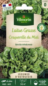 Laitue Craquerelle du Midi - Légumes d'Autrefois